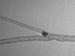 Customized Y-shaped Carbon Nanotubes Can Compute