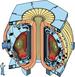 Researchers Devise Improved Controls for Advanced Tokamak Fusion Reactor