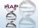 California Researchers Collaborate with Perlegen Sciences on Map of Human Genetic Variation Across Populations
