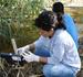 Teams in Engineering Service Program Cited in National Award for Community Service
