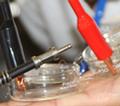 Coming to TV Screens of the Future: A Sense of Smell