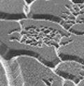 Nanoengineers can print 3D microstructures in mere seconds