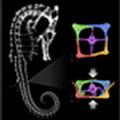 Seahorse's Armor Gives Engineers Insight Into Robotics Designs