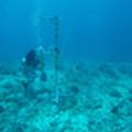 Currents, Waves and Hawaiian Reefs