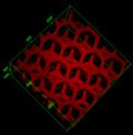 Bioprinting a 3D Liver-Like Device to Detoxify the Blood