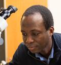 Researchers Demonstrate New Way To Plug 'Leaky' Light Cavities