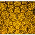 Boxfish shell inspires new materials for body armor and flexible electronics