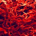 Engineers elucidate why skin is resistant to tearing