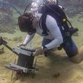 Researchers Develop Novel Microscope to Study the Underwater World