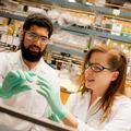 UC San Diego Received Second Highest Number of U.S. Patents Issued in UC System