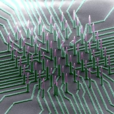 'Neuron-reading' nanowires could accelerate development of drugs to treat neurological diseases