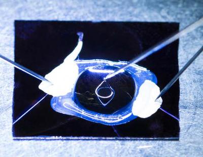 What is that image on the Research Expo 2017 website?