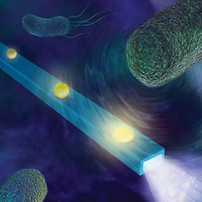 Nano fiber feels forces and hears sounds made by cells