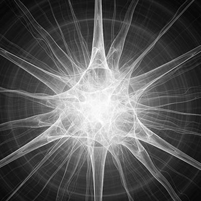 Researchers receive an NSF award to develop new neural mapping technologies of the brain