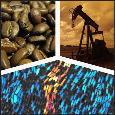 Bacterial Communities Use Sophisticated Strategy to Communicate over Long Distances