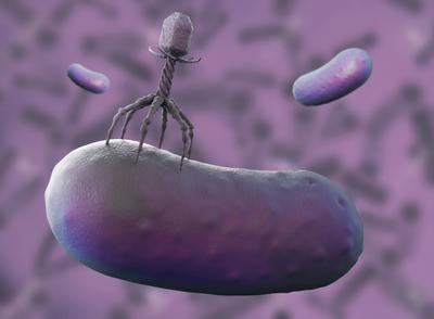Virus Found to Adapt through Newly Discovered Path of Evolution