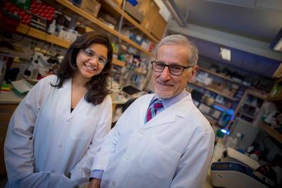 Researchers Uncover Possible Link Between Sleep Apnea and Cardiovascular Disease