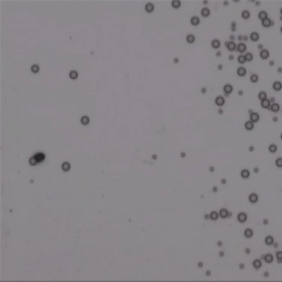 Micromotors push around single cells and particles