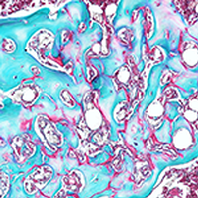 A bioengineered factory for T-cells