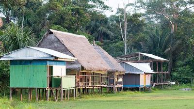 From jungle huts to city apartments: how do chemicals and microbes differ?