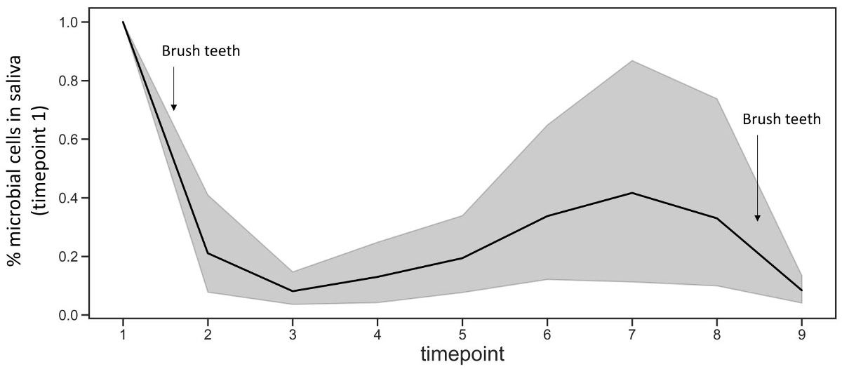 Delving into Drool's Droves of Data: Quantifying the Microbial Load in Human Saliva