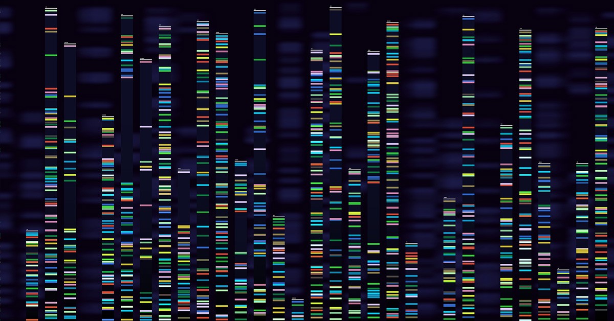 Open-Access Genetic Map Provides Reference for What Almost Every Stem Cell Gene Does